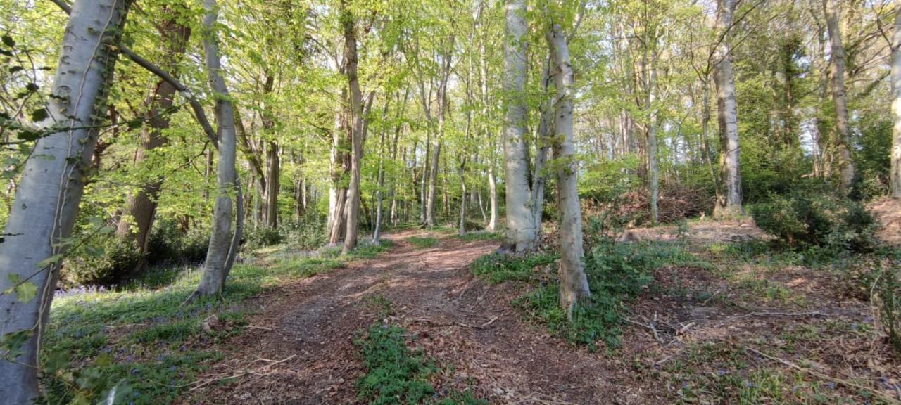 Gites 4,6 Personnes Fecamp Etretat Colleville Экстерьер фото